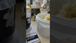 Натуральное мыло "с нуля" / Мыло ручной работы из масел / Процесс создания 🫧