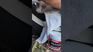 Testing Mothers Mag & Aluminum Wheel Polish