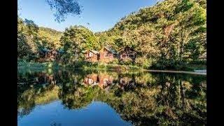 Sueños del Bosque Lodge - Perfect Spot For Enjoying Quiet, Peaceful Natural Surroundings