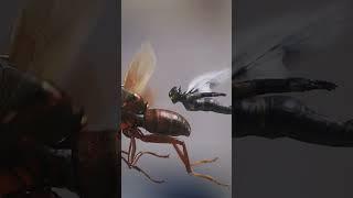 Ant-man finally does the butt thing in Ant-man and the wasp Quantumania