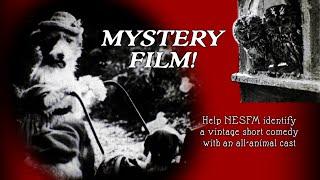 Mystery Film! Help NESFM Identify this Short Film with an All-Animal Cast