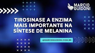 Tirosinase a enzima mais importante na síntese de melanina