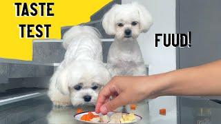 Dog Reviews Food with his Puppy Brother