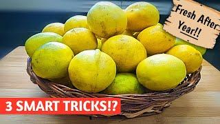 3 SMART WAYS! HOW TO STORE LEMON FOR LONG TIME | HOW TO STORE LEMON JUICE | KITCHEN TRICKS AND TIPS