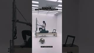‍️필라테스하개Dog & Pilates! We are Combie!