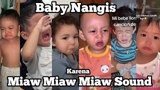 Cat's Life Sound - Miaw Miaw Miaw Baby Cry - Trend Bocil Nangis Miaw Tiktok Compilation