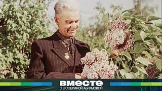 Как цветы из СССР покорили Конгресс США и Букингемский дворец? Легендарная сирень Колесникова