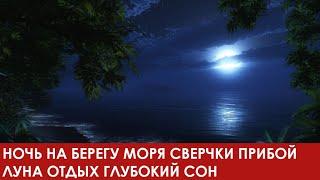 ШУМ МОРЯ НОЧЬЮ СВЕРЧКИ ЛУНА ТИХИЙ ПРИБОЙ ГЛУБОКИЙ СОН РЕЛАКС