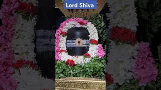 Lord Shiva | Husband of Parvati | Father of Ganesha and Subramanya