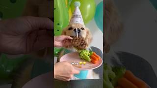 Surprising my dog for her birthday!  #dogs #dogshorts #puppy #puppies #goldenretriever #doglife