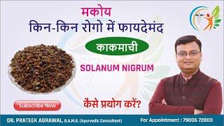 मकोय के फायदे | Makoy ke fayde | काकमाची | Solanum Nigrum | Dr. Prateek Agrawal (204)