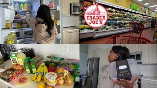 Life Vlogs: First Time Shopping at Trader Joes, Extreme Grocery Shopping + Fridge Organization