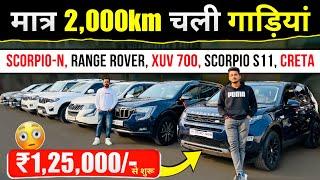 New Year *GRAND SALE* is HERE | SCORPIO-N, CRETA, XUV 700 | Second Hand Cars Patna 2025