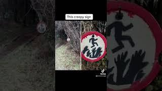 Creepy Things Found In The Woods 