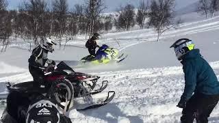 Yamaha Apex vs Yamaha Sidewinder