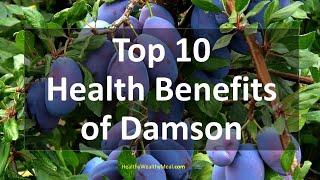 Top 10 Health Benefits of Damson Plums | Healthy Wealthy Tips