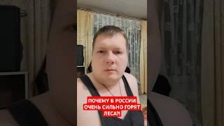 ПОЧЕМУ В РОССИИ ОЧЕНЬ СИЛЬНО ГОРЯТ ЛЕСА?!