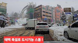 고원도시 태백은 눈폭탄 눈길사고 빈발하고  도시기능이 마비돼 상가도 거의 문을닫음 ㄷㄷ !