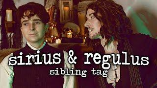 {regulus & sirius black: sibling tag}