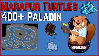 Marapur Turtles (still great profit!) | 400+ Paladin | Tibia