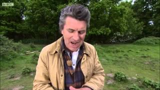 Adders on Springwatch (2015)