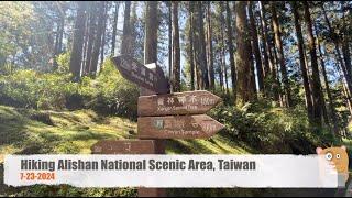 Hiking Alishan National Scenic Area, Taiwan