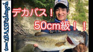 【バス釣り】三島湖で50アップ！！低気圧パワー炸裂！？