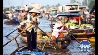The most important floating markets in Vietnam: this is, in detail, the Mekong Delta