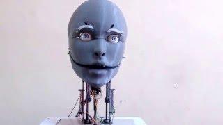 Athena : An attentive human like robot head