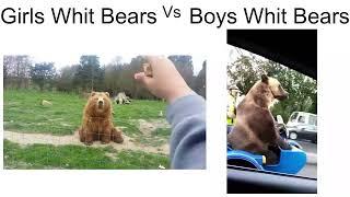 Girls whit Bears Vs Boys whit Bears