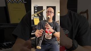 Harry Potter Theme! Tiny vs GIANT recorder!!!