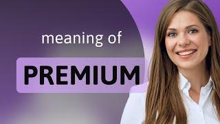 Premium | what is PREMIUM definition