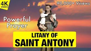 LITANY OF SAINT ANTONY | 4K VIDEO | SAINT ANTONY PRAY FOR US