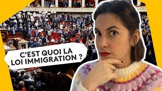 Ce qui pourrait changer avec la loi immigration