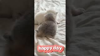 @RonalRegen-k7l