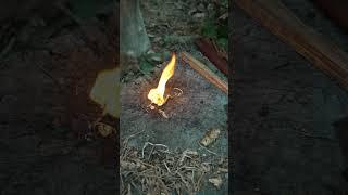 2 More NATURAL Materials For Easy Fire #bushcraft #survival #camping #fire