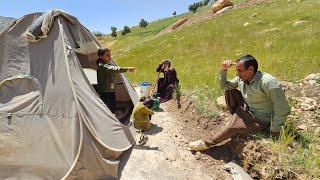 Reza asked Zeinab for help: Did they return to their previous place again?