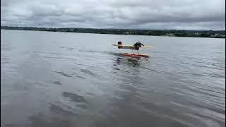 RC Frankenstein seaplane landing - Lake Paranoa Brasilia