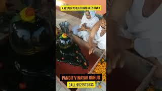 Kalsarp Pooja Trimbakeshwar | Rudra Abhishek Pooja Trimbakeshwar | Call: 9921572833