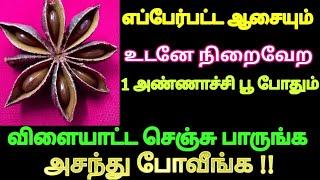 எப்பேர்பட்ட ஆசையும் உடனே நிறைவேற ஒரே ஒரு அண்ணாச்சி பூ போதும் | விளையாட்டா செஞ்சு பாருங்க | Karthick