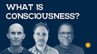 Exploring Consciousness with Neuroscientists & Philosophers | Anil Seth, John Vervaeke, Philip Goff