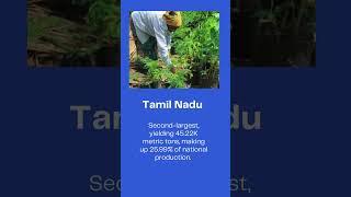  Top 5 Tamarind-Producing States in India 