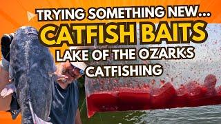 Catfishing Lake of The Ozarks Testing New Baits | Shrimp Strawberry Hotdogs with Jug Lines!