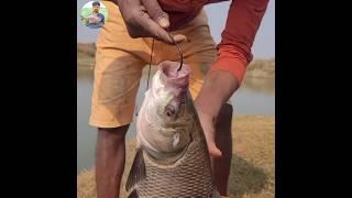 Amazing village boy trap hook fishing video  katla fish #raaz_fishing #shorts