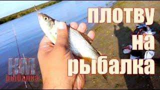 Рыбалка на плотву