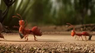 Ex-Mckinsey Consultancy -Ants and the anteater video- SkillQuo