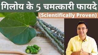 Giloy Benefits: गिलोय के 5 सबसे बड़े फायदे और प्रयोग करने की सही विधि