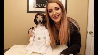 My Dogs Try On Halloween Costumes