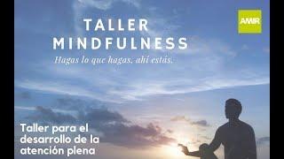 Introducción al Mindfulness | Academia AMIR