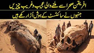 Rare Things Found In The African Desert | Reality Facts